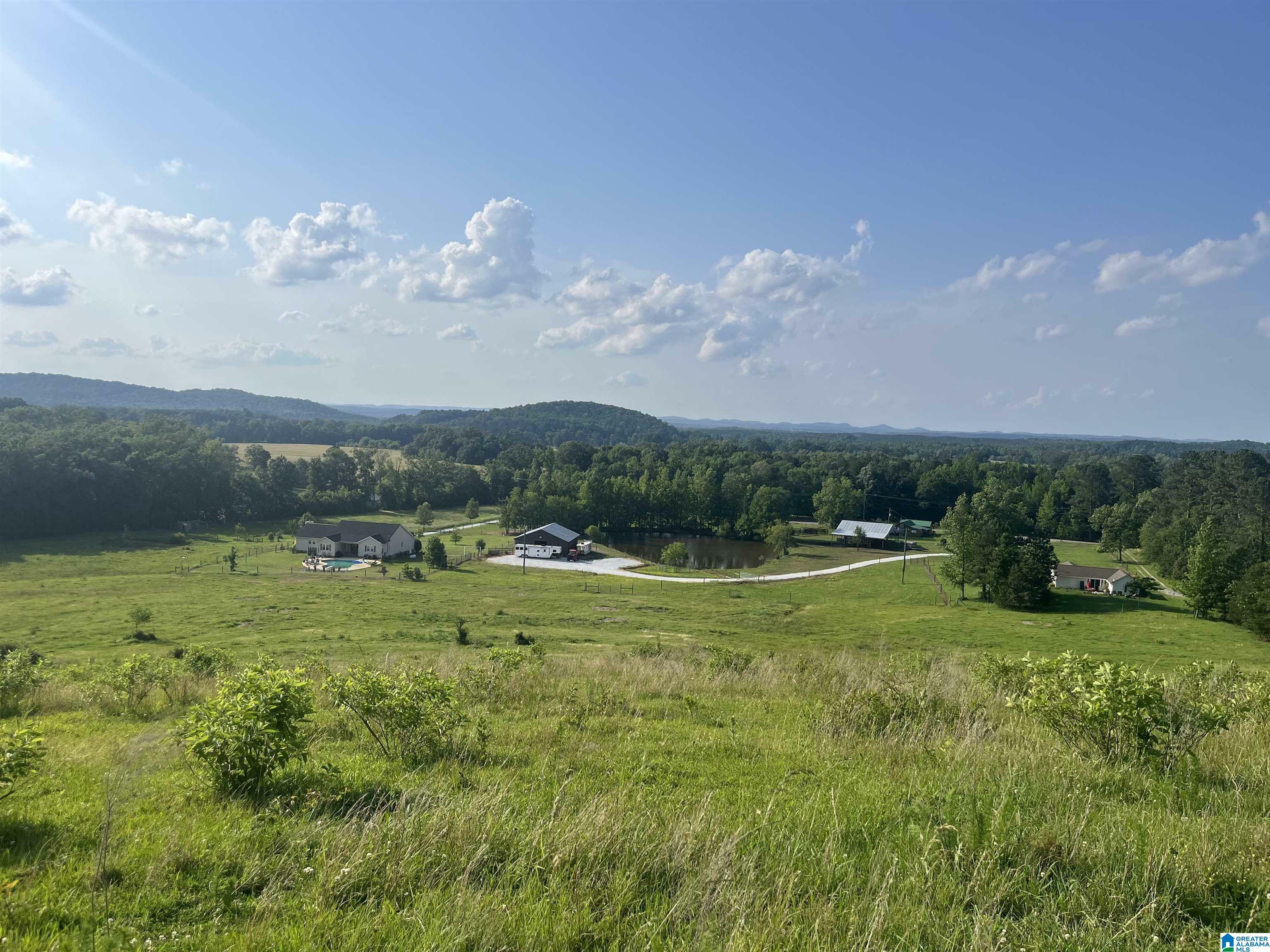 800 Brooks Lake Road  Lincoln AL 35096 photo