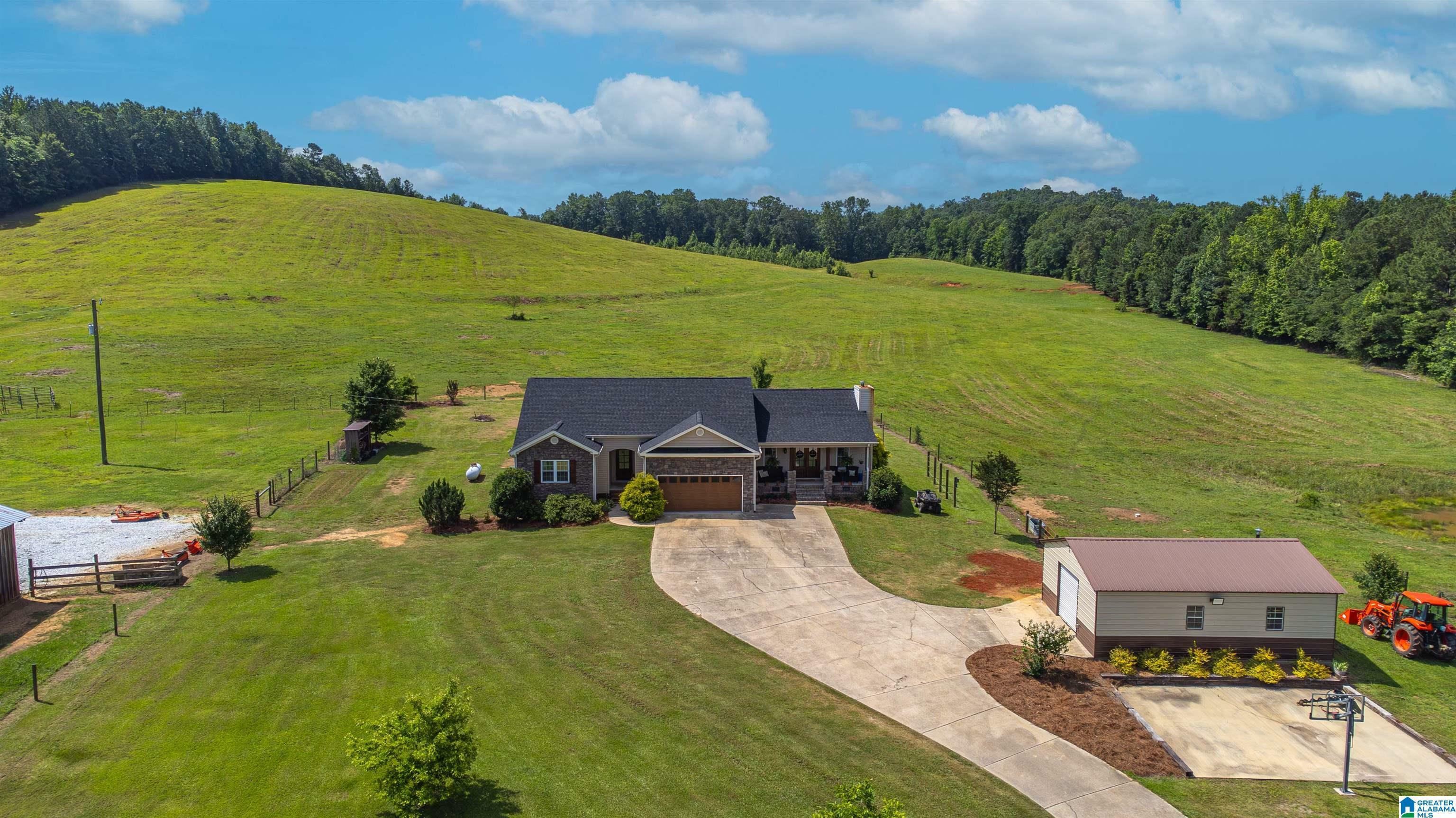 800 Brooks Lake Road  Lincoln AL 35096 photo