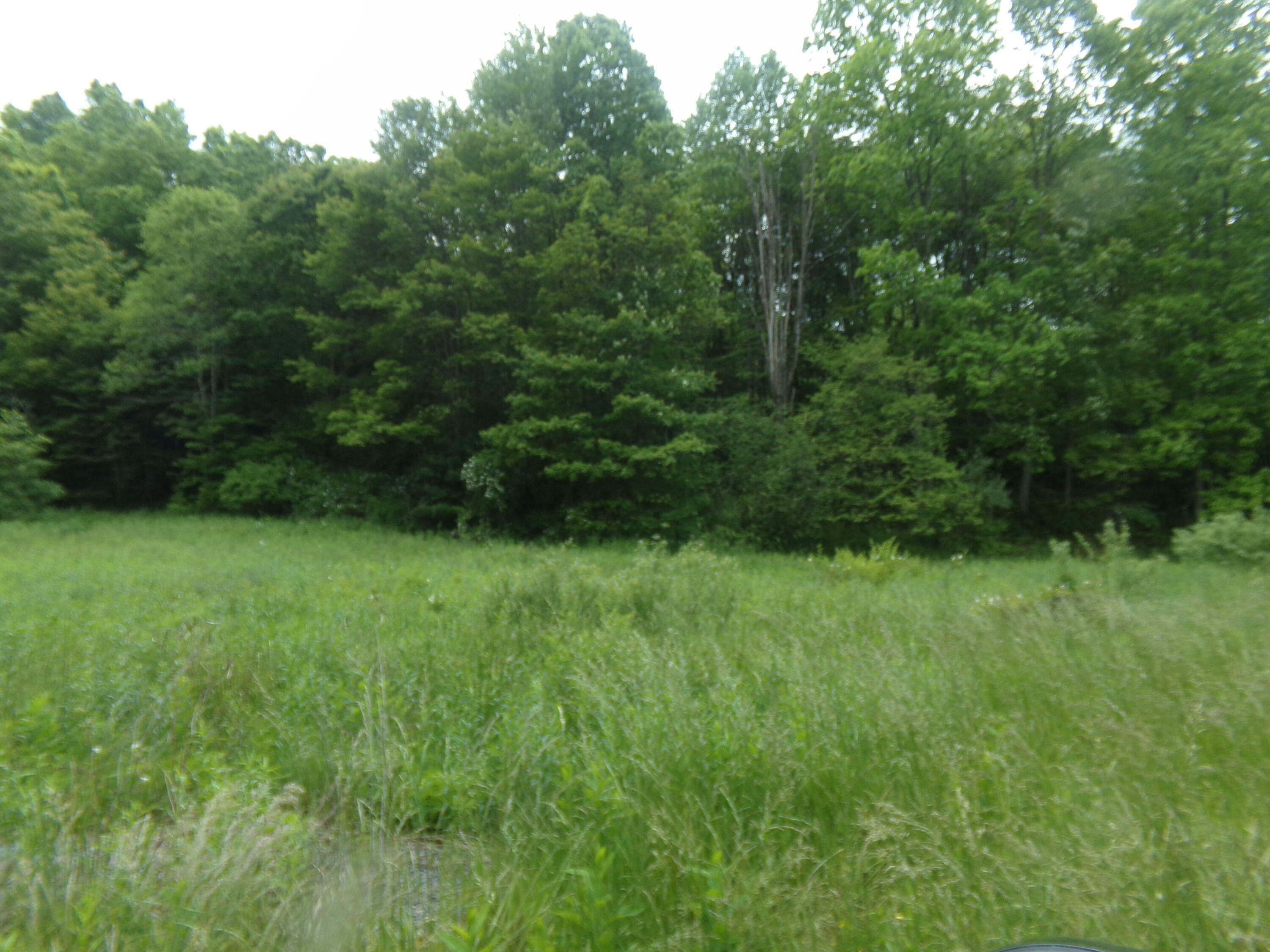 Property Photo: Morris Branch Road WV 25976