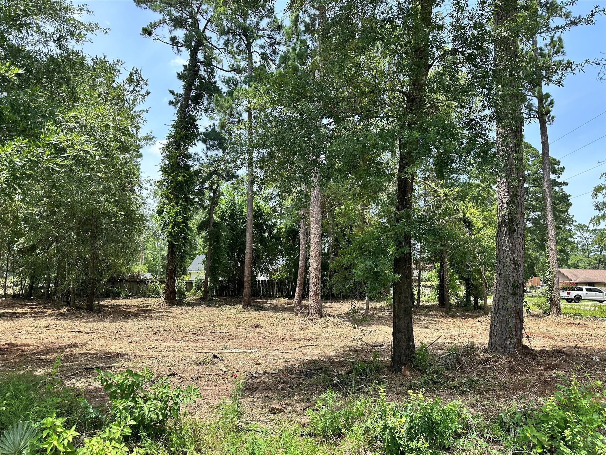 Property Photo: 0 Tallow Drive TX 77385