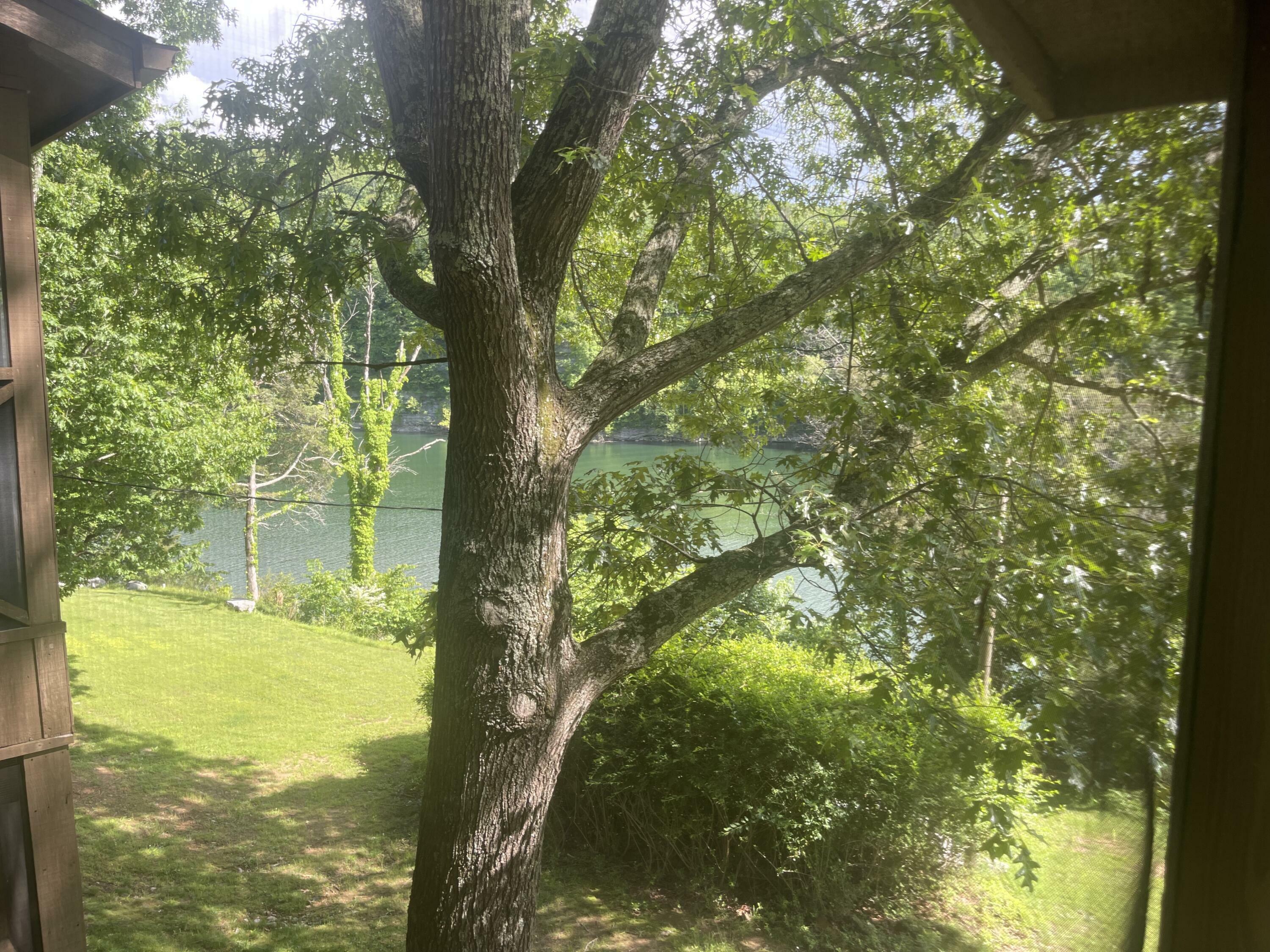 Property Photo: 101-3 Woodson Bend Resort KY 42518