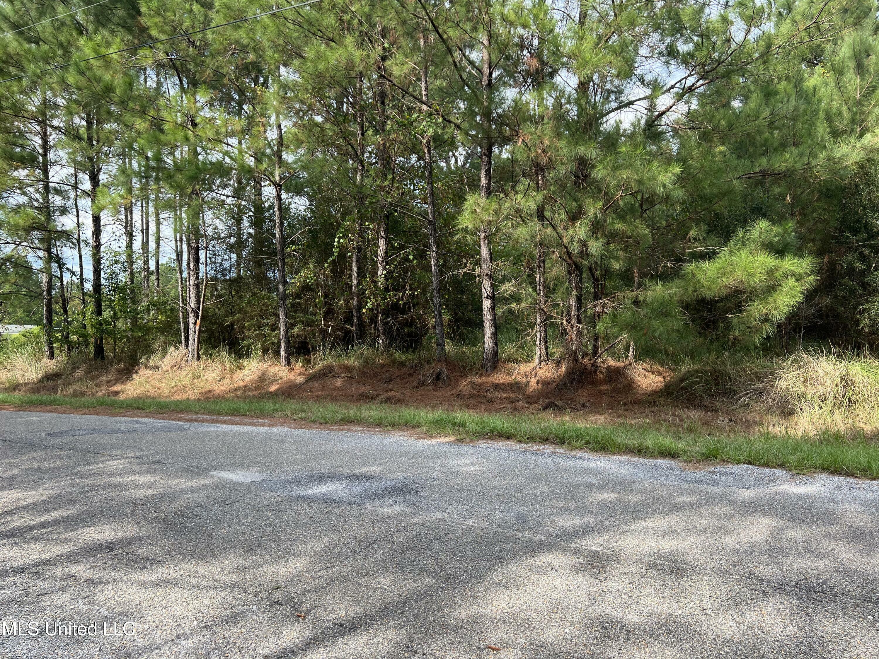 Property Photo:  Tbd Presley Drive  MS 39577 