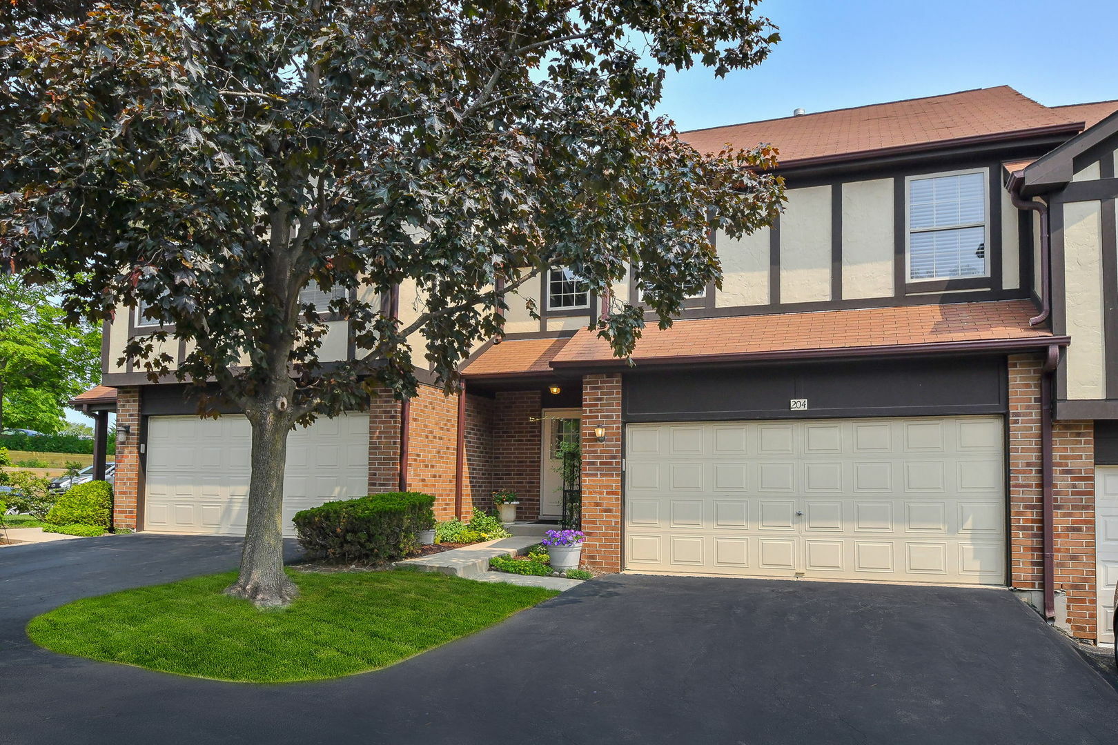 Property Photo: 204 Stoneybrook Lane IL 60108