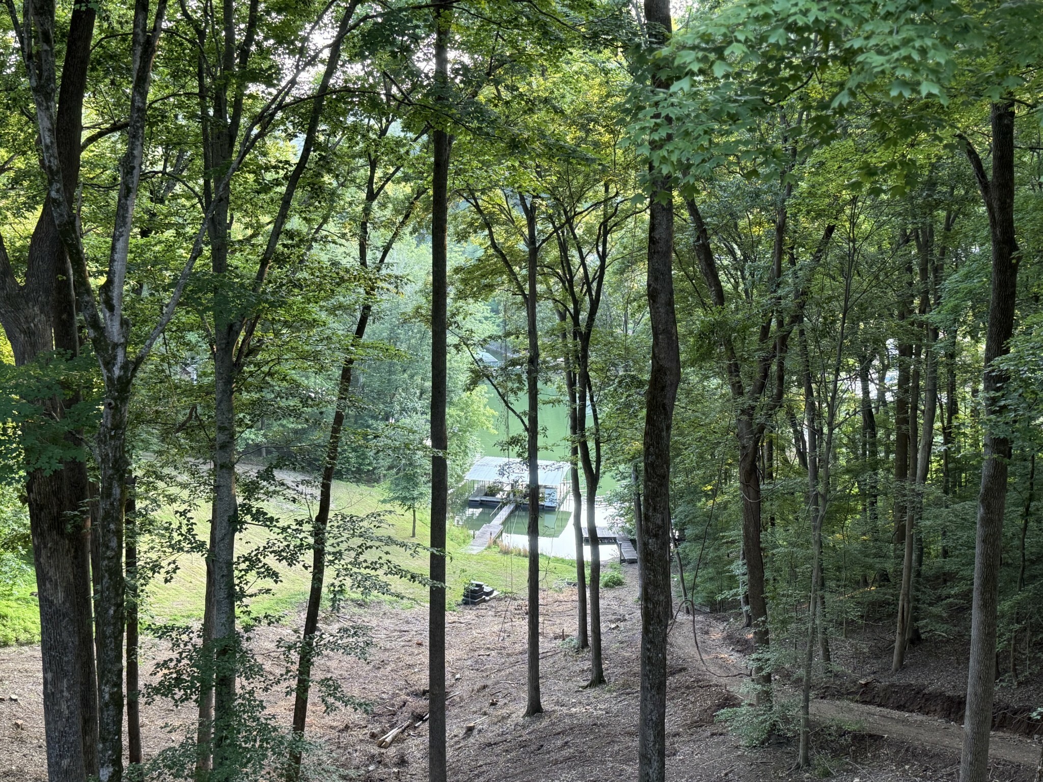 Property Photo: 0 Ridgeview Run TN 37352