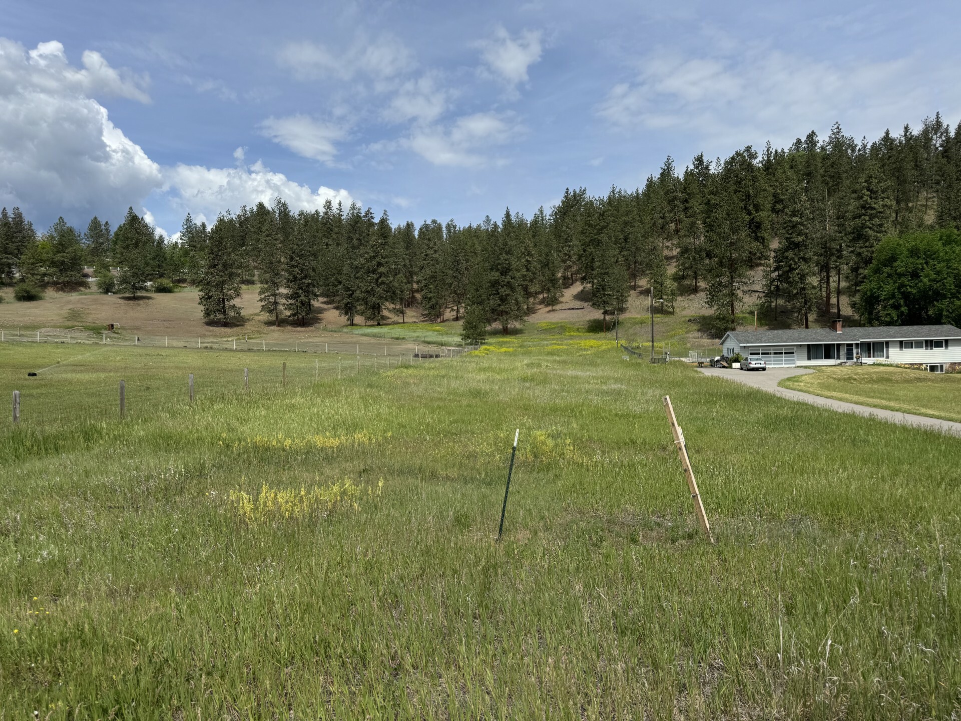 Property Photo: Parcel C Hwy 93 S MT 59804