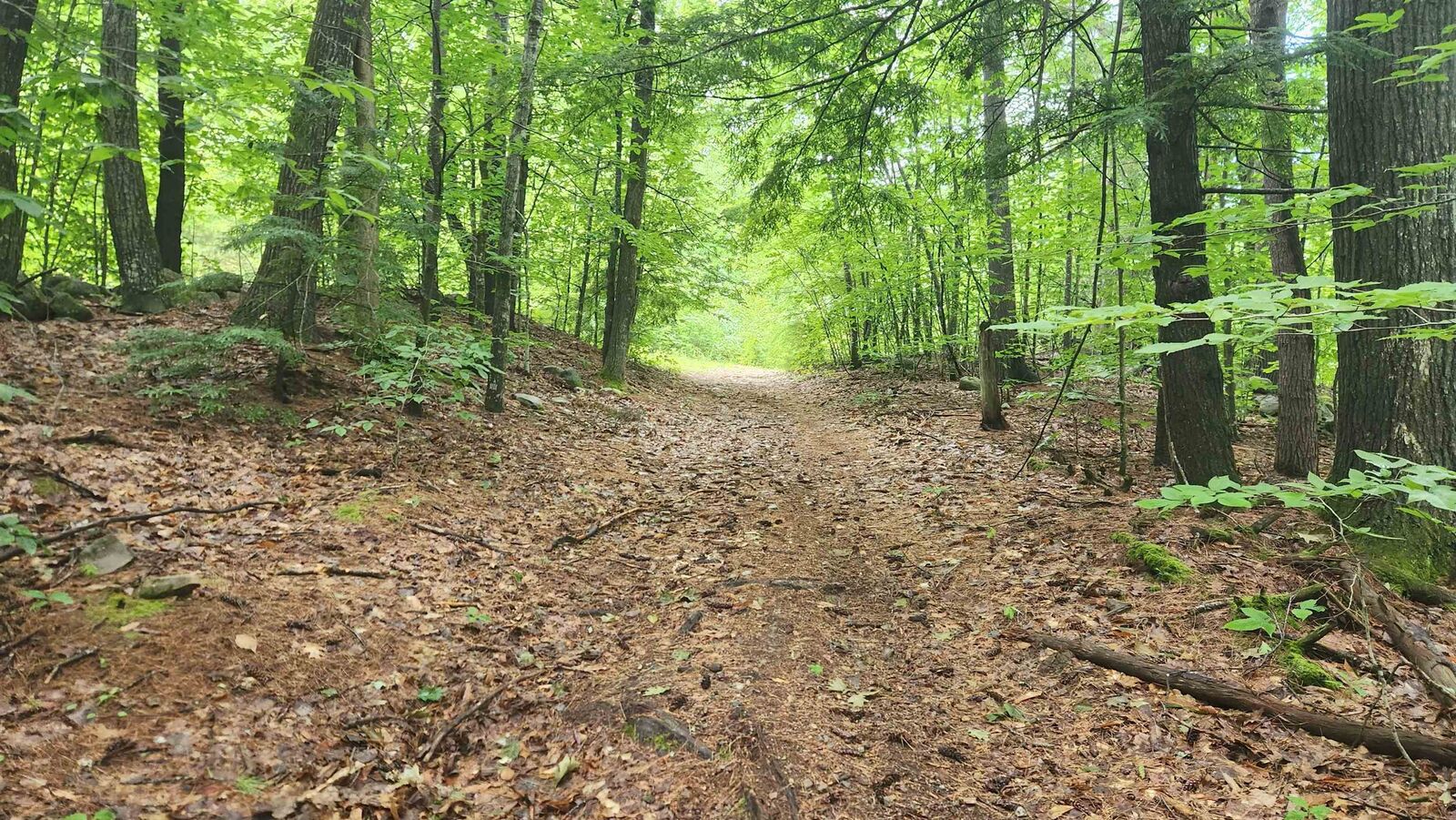 Property Photo: 175 Valley Road NH 03855