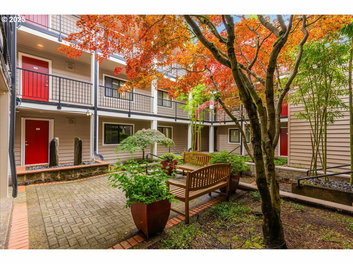 6600 SE Division St 202  Portland OR 97206 photo