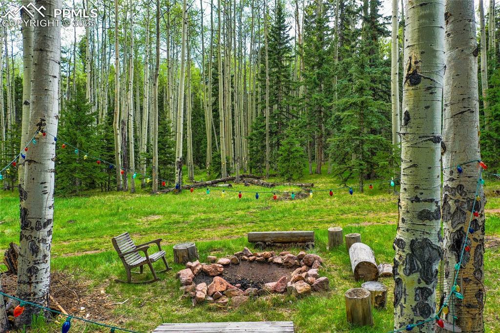 Property Photo: 10955 Grenadier Road CO 80863