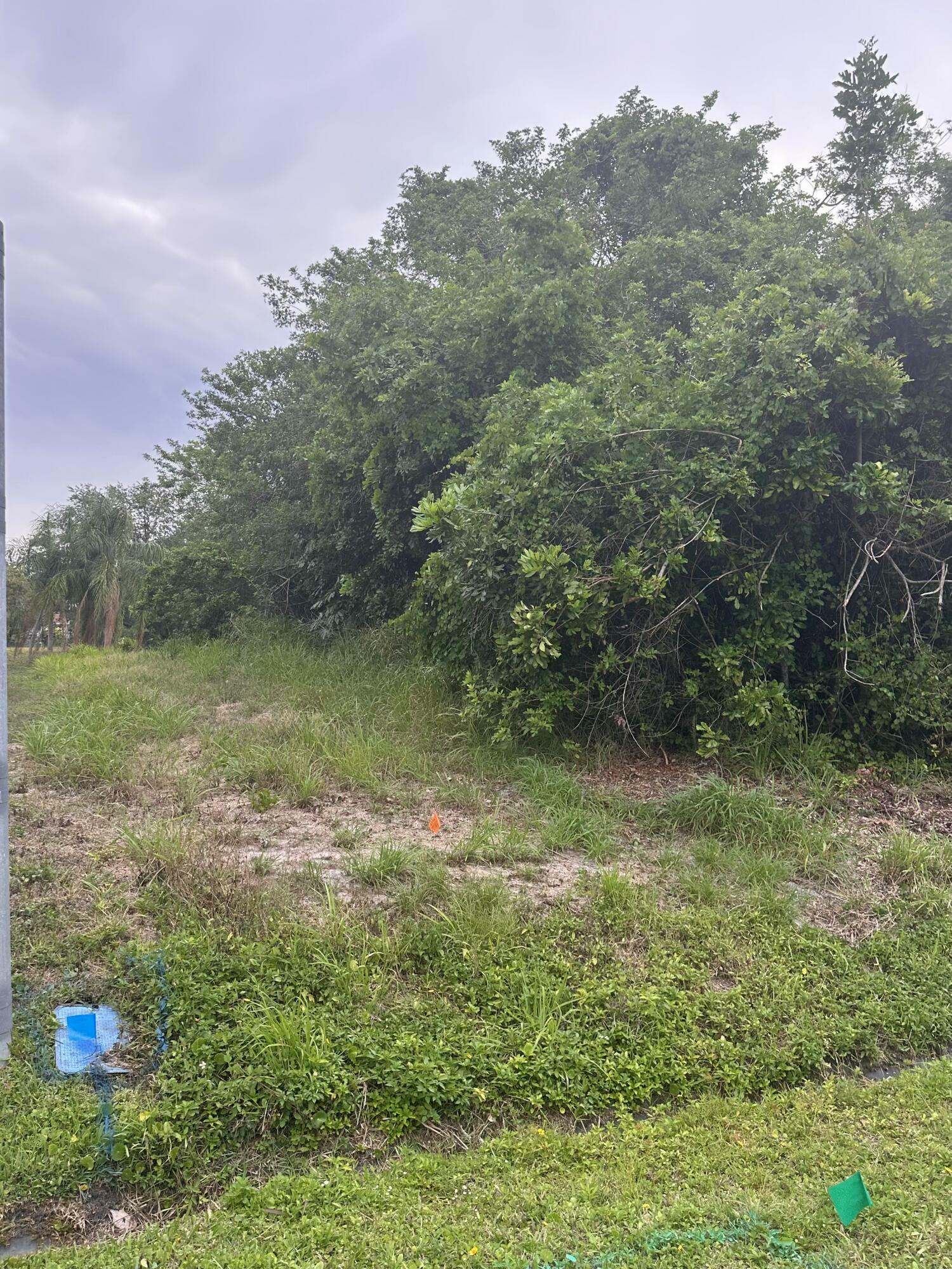 Property Photo: 181 SE Whitmore Drive FL 34984
