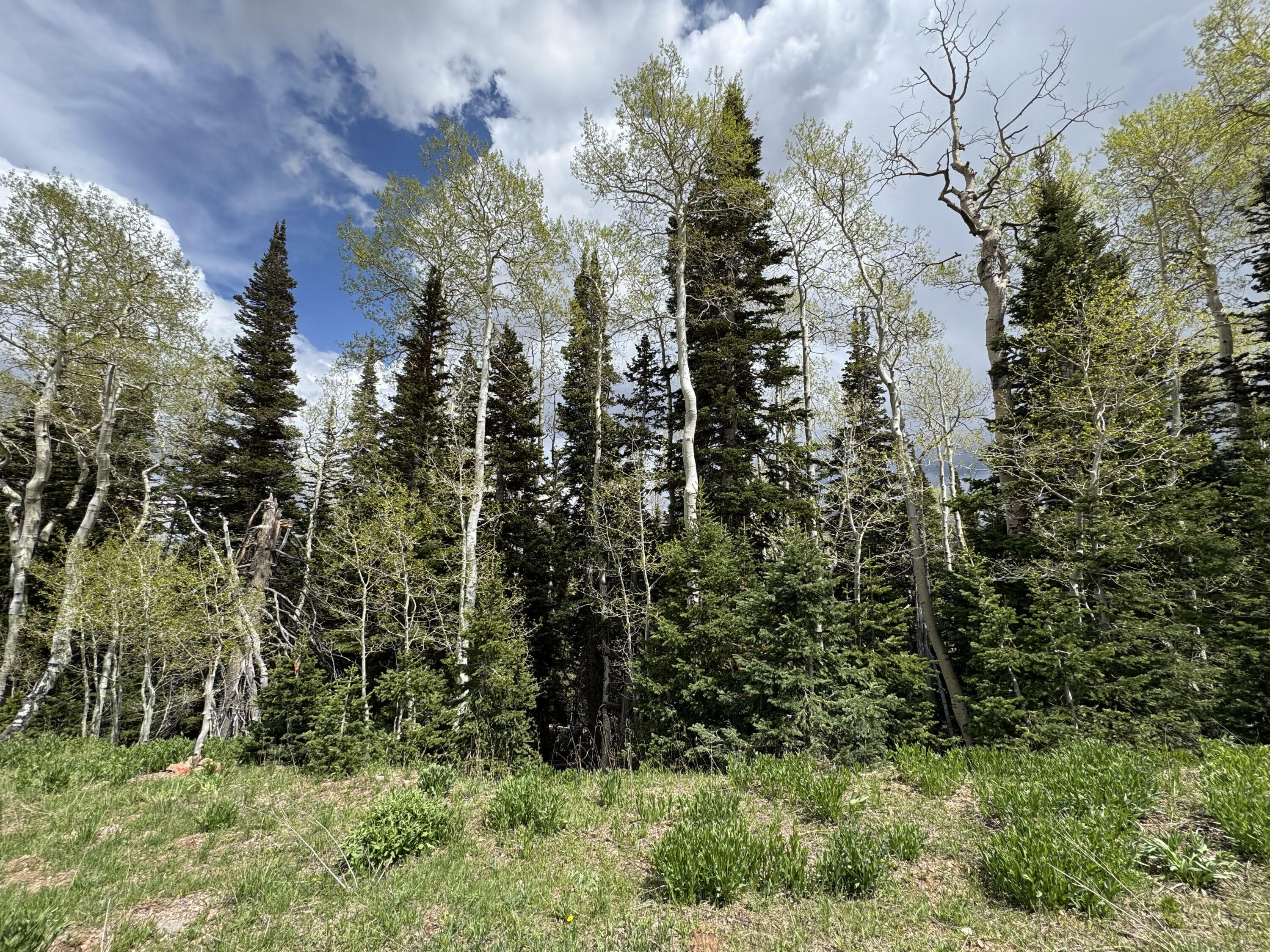 Property Photo: 695 W Hunter Ridge Rd 3 UT 84719
