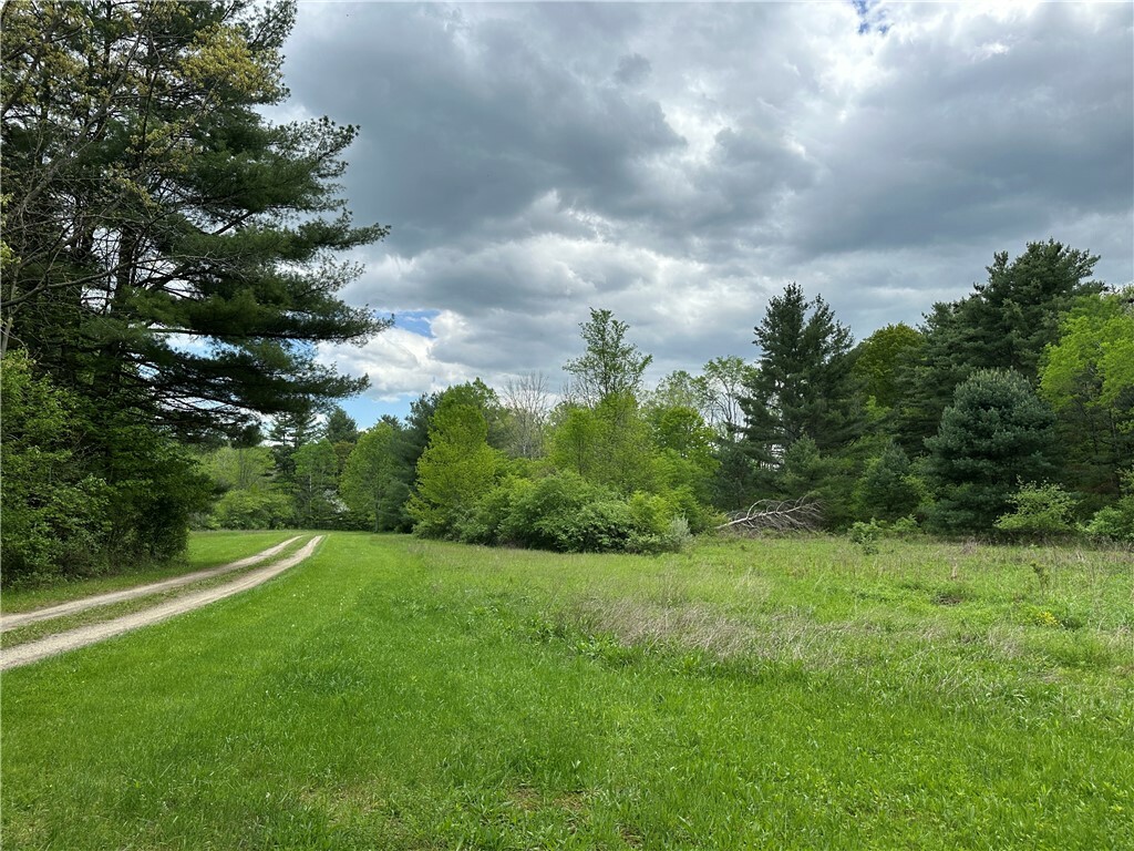 Property Photo:  Vl Lot 1 Hardscrabble Road  NY 14801 
