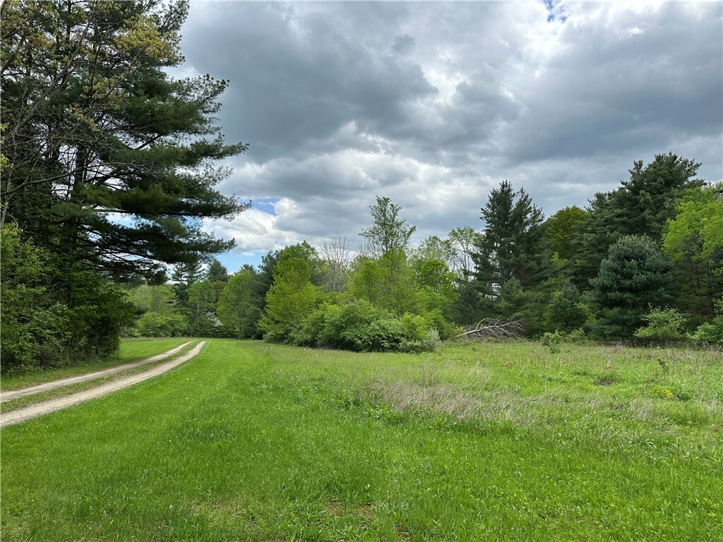 Property Photo: Vl Lot 1 Hardscrabble Road NY 14801