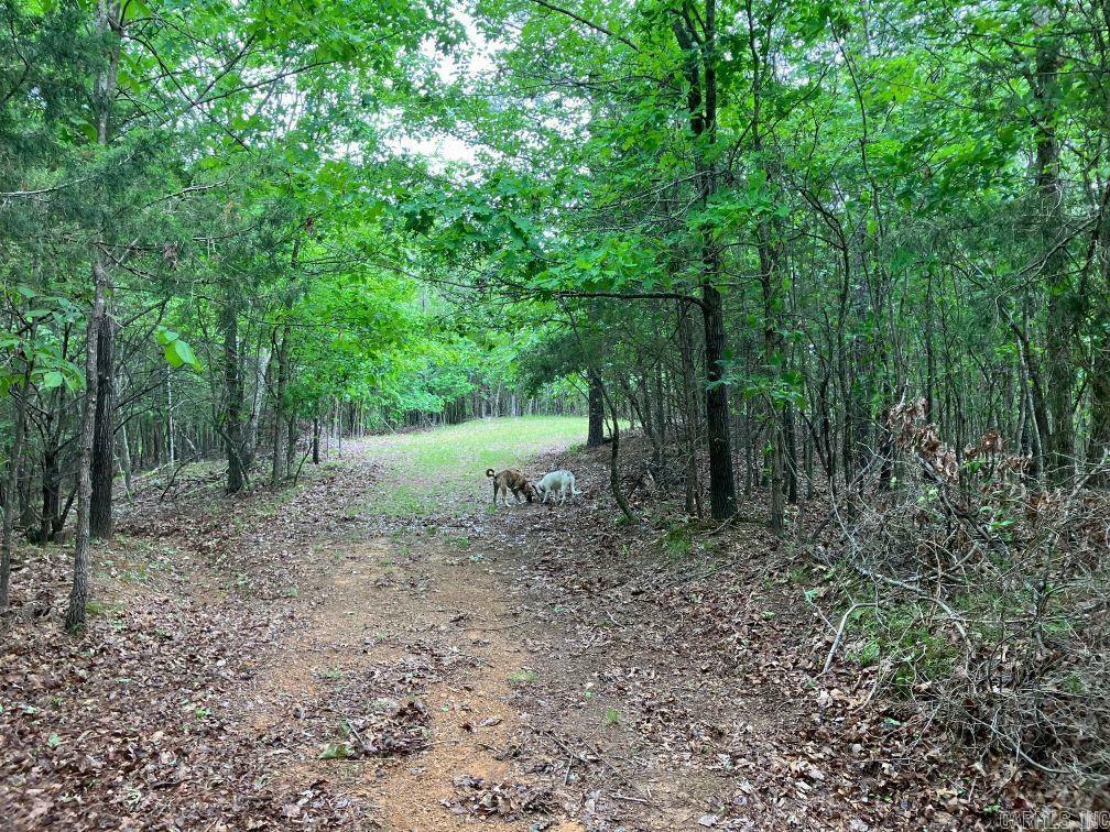 Property Photo: Tbd Tract 4 Thompson Creek Lane AR 71953