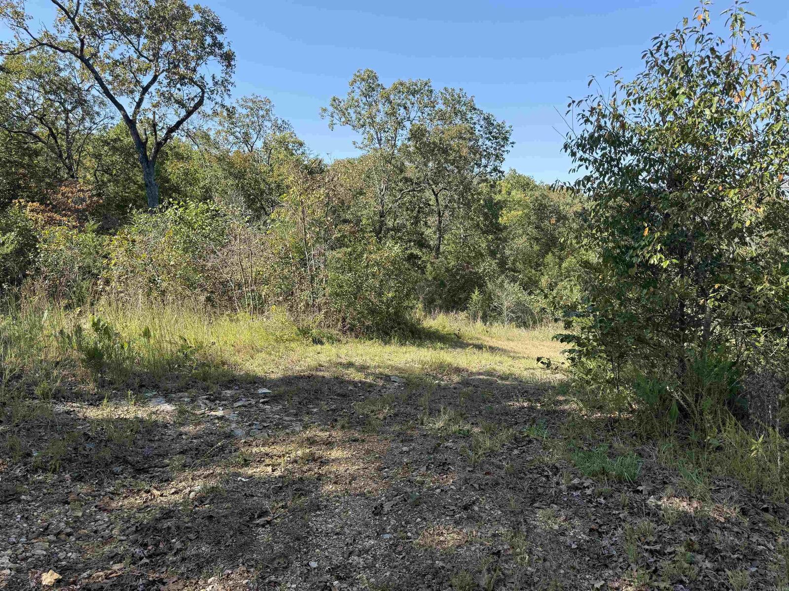 Property Photo: 232 New Hope Road AR 72653