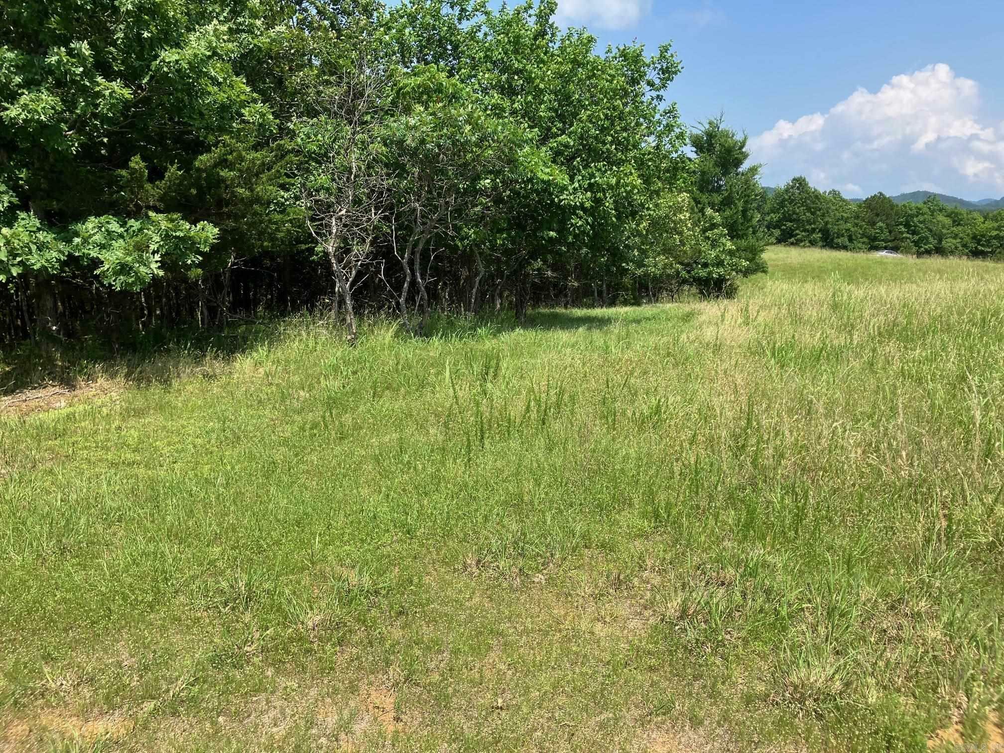 Property Photo:  Tbd Tract 2 Thompson Creek Lane  AR 71953 