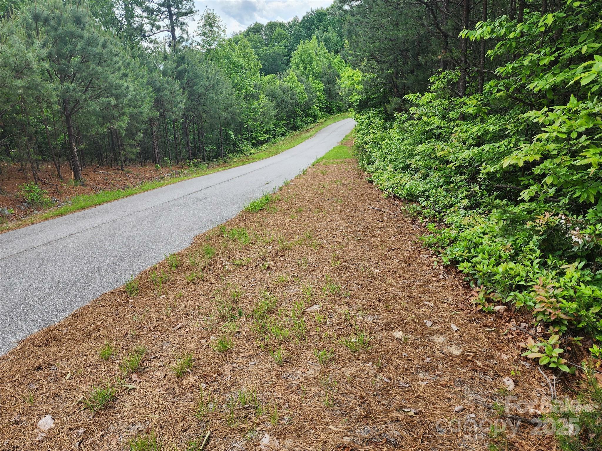 Property Photo: Tbd Derby Chase Court NC 28649