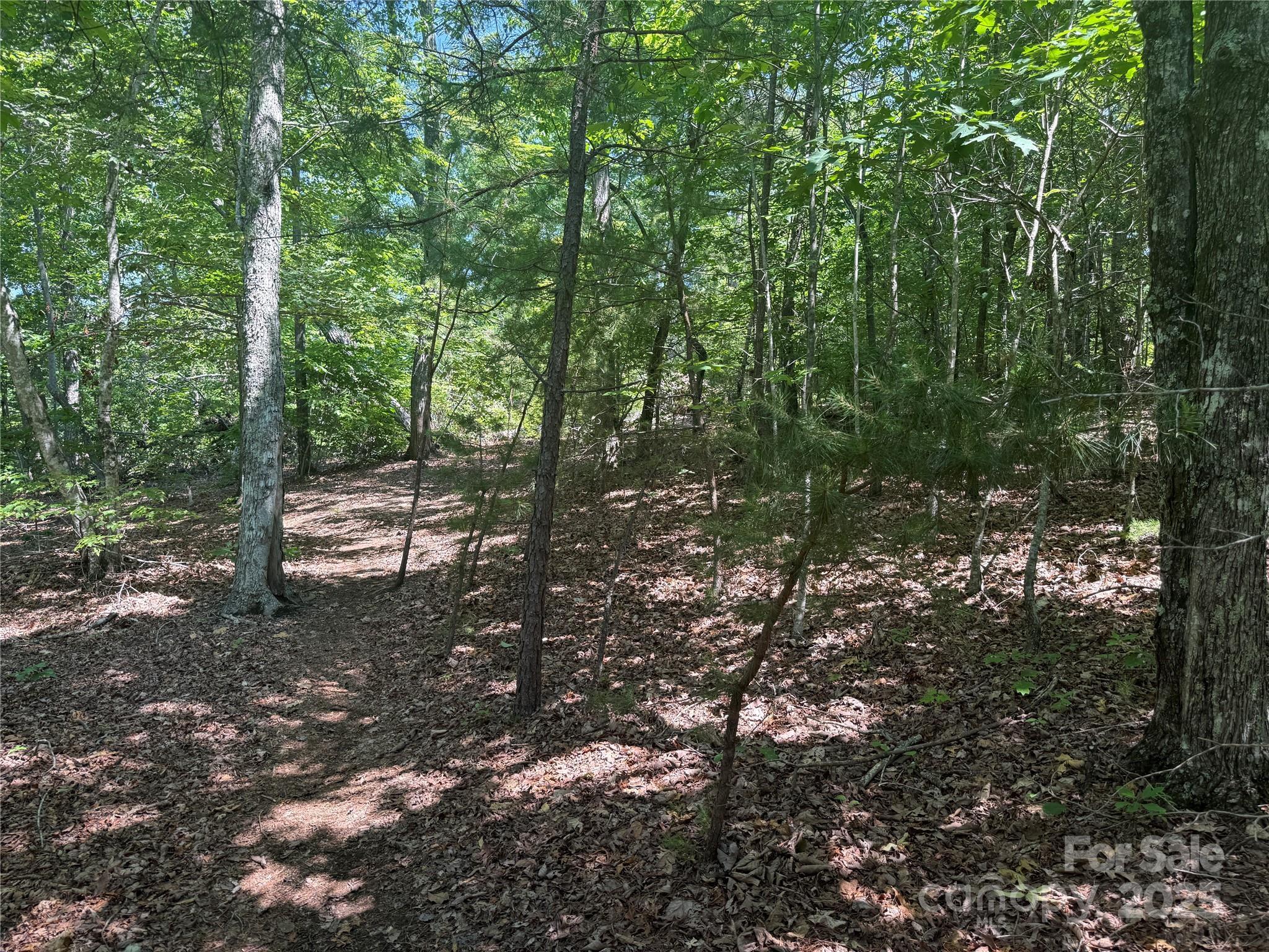 Property Photo: 0 Crescent Ridge Lane 373 NC 28761