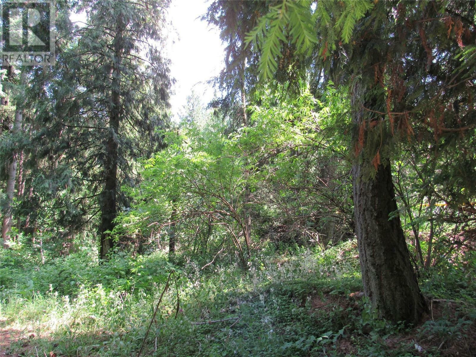 Property Photo:  2532 10th Avenue Parcel A  BC V1N 3A2 