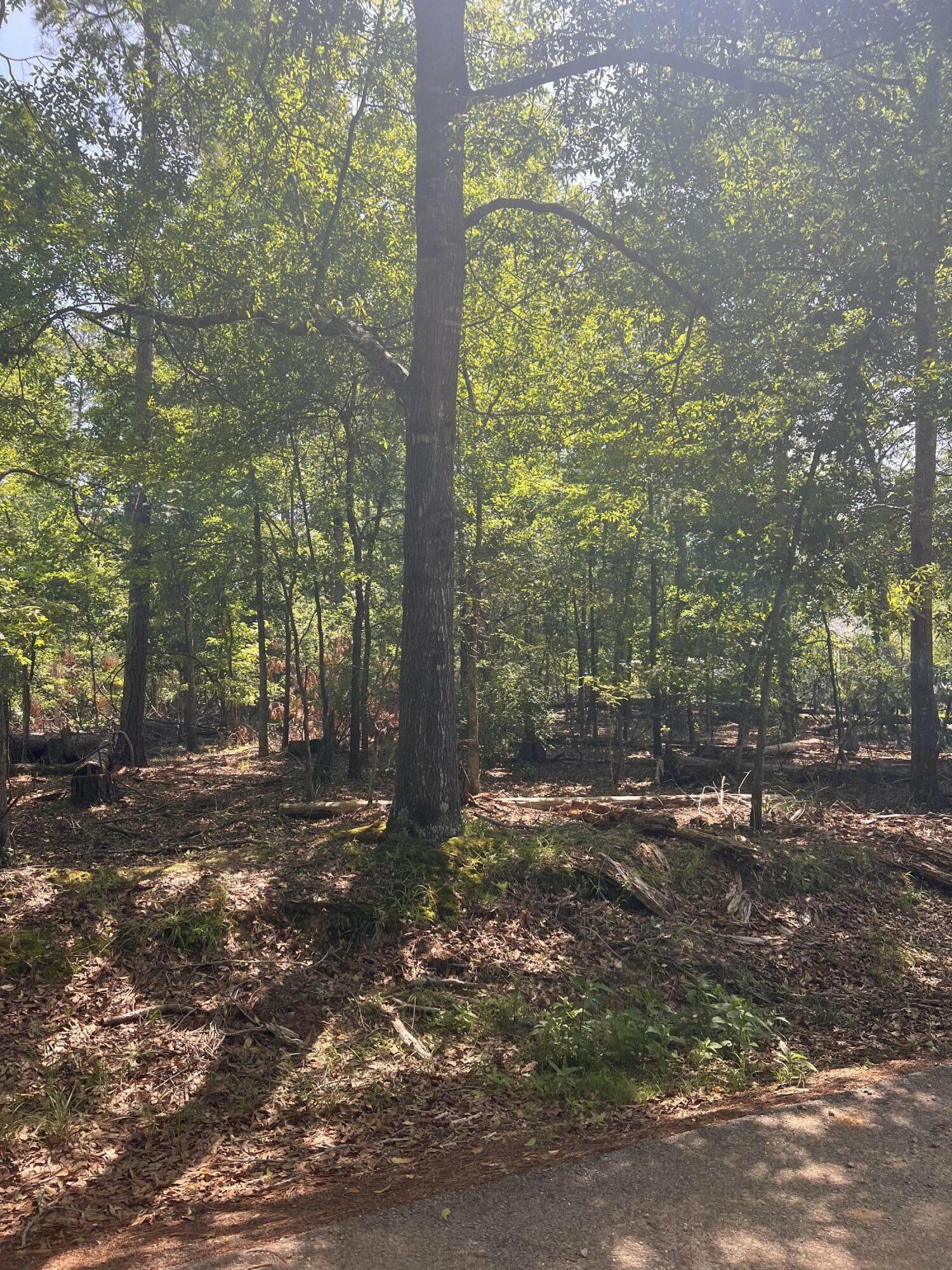 Property Photo: Lot 112 Pawnee Drive GA 30817