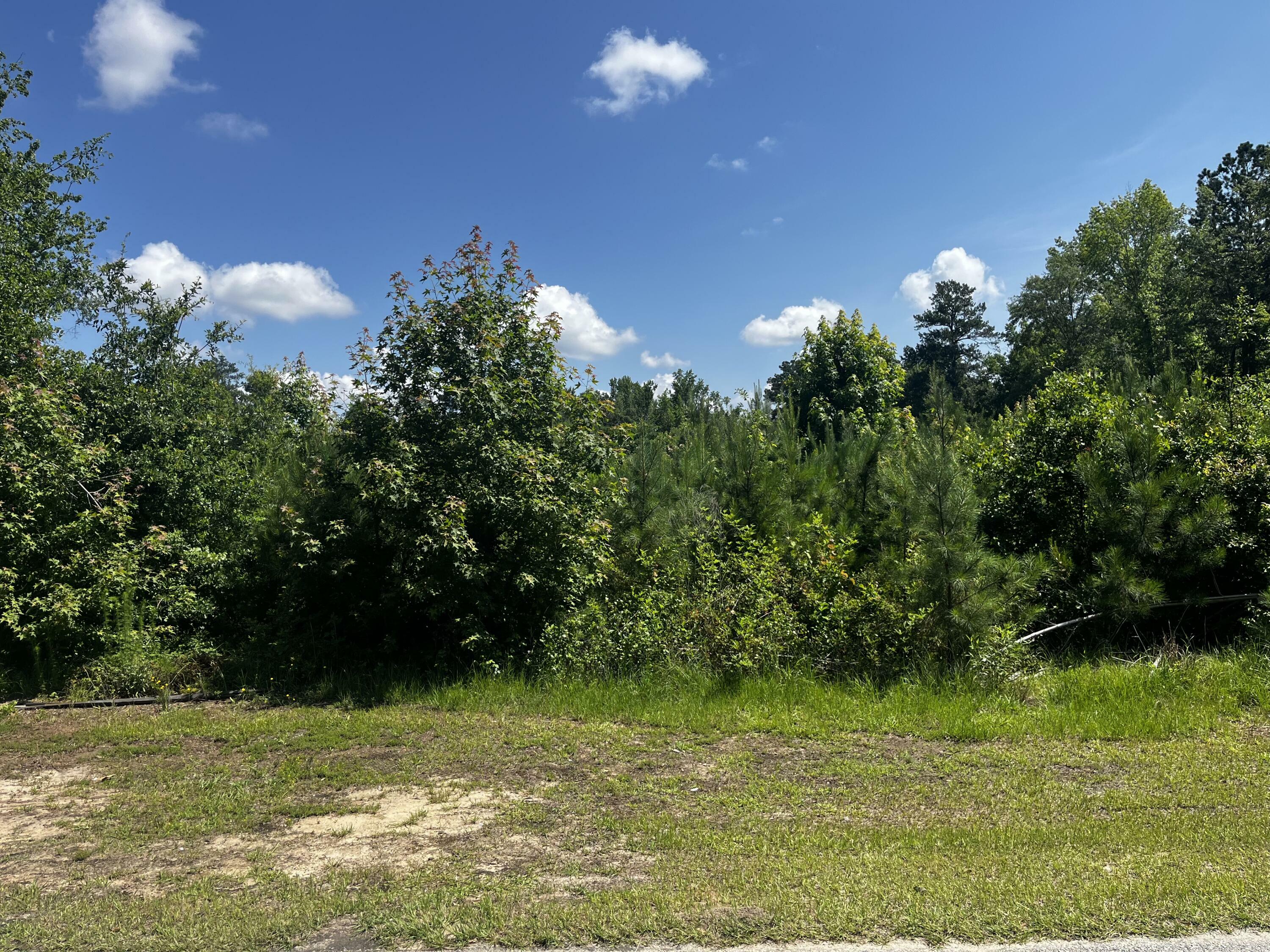 Property Photo: 0 Young Street GA 30833