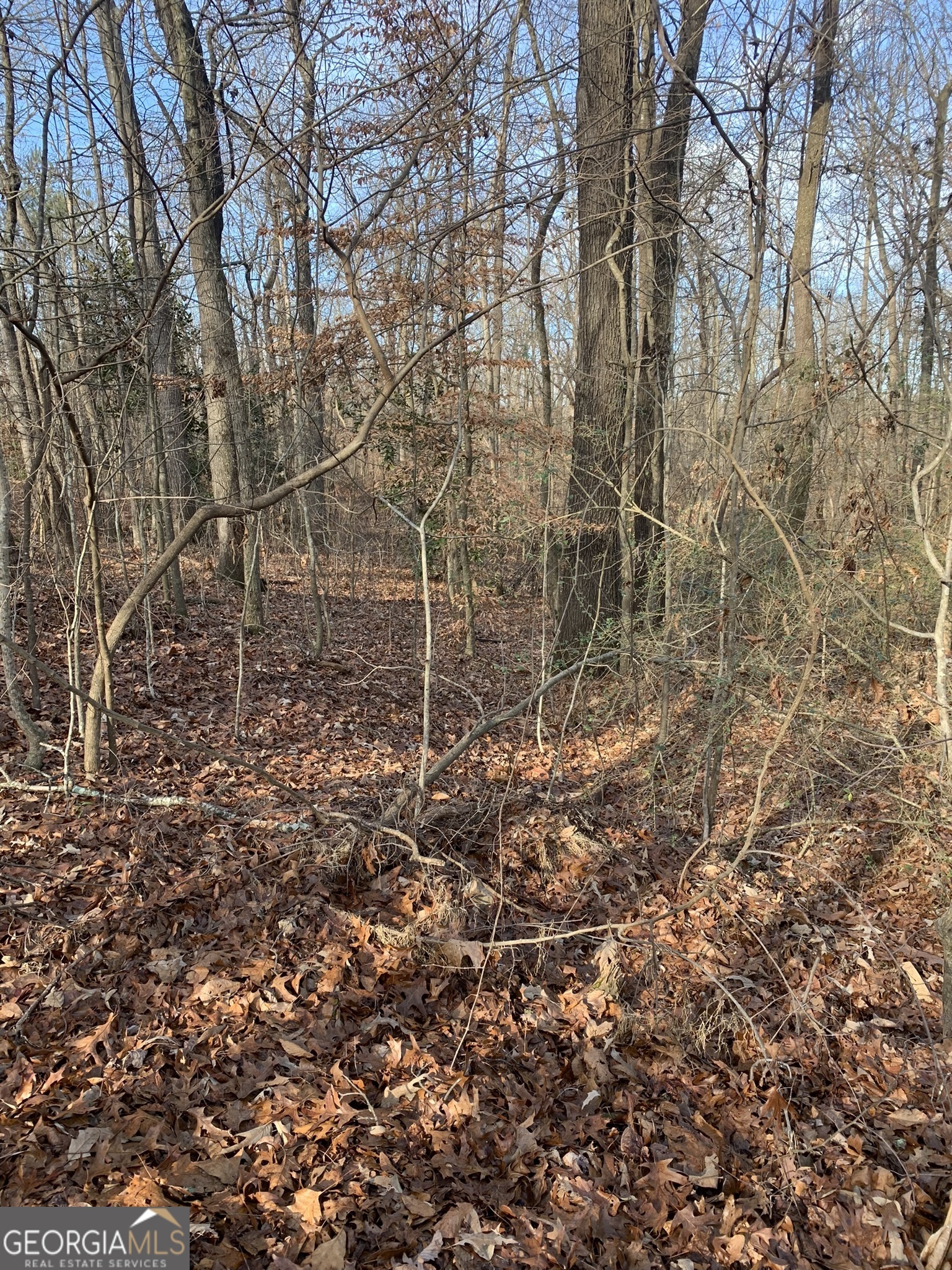 Property Photo: 00 S Tanglewood Drive GA 30662