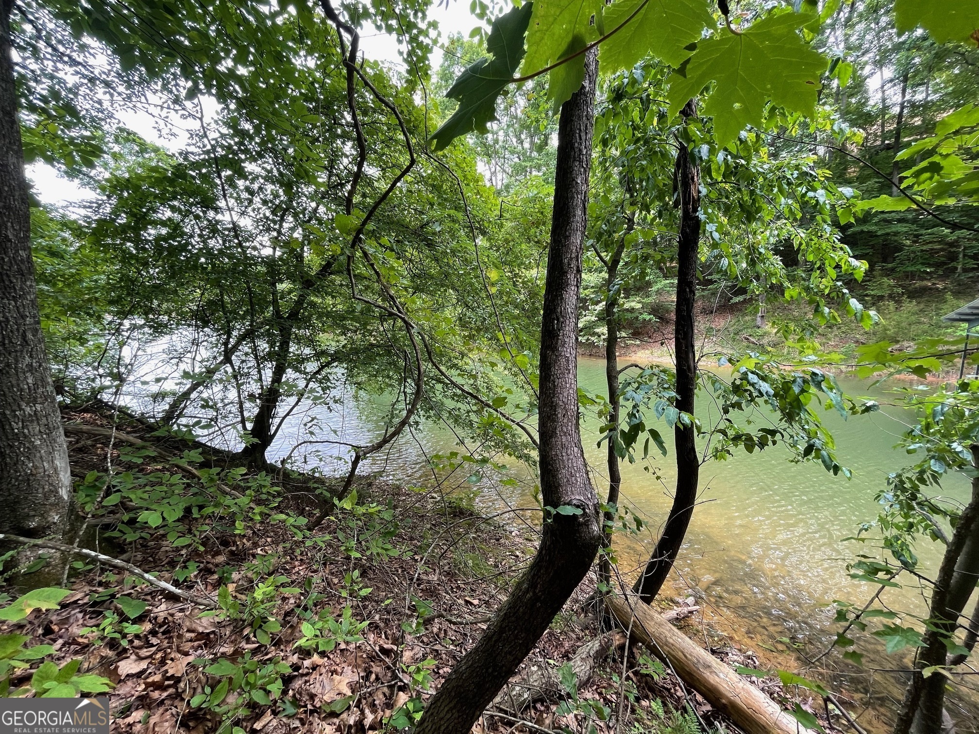 Property Photo: Lot 1682 Point Road SC 29693