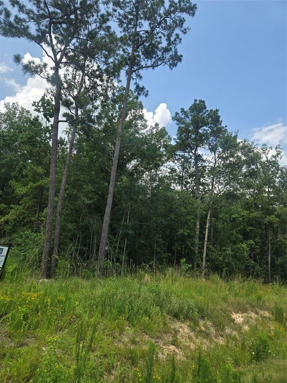 Property Photo: 1712 Road 66115 TX 77535