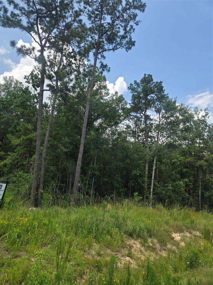 Property Photo: 1712 Road 66115 TX 77535