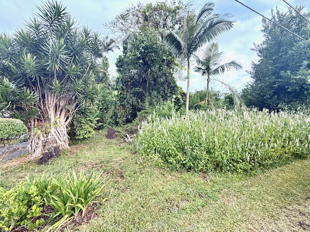 Property Photo:  161 Manulele St  HI 96720 