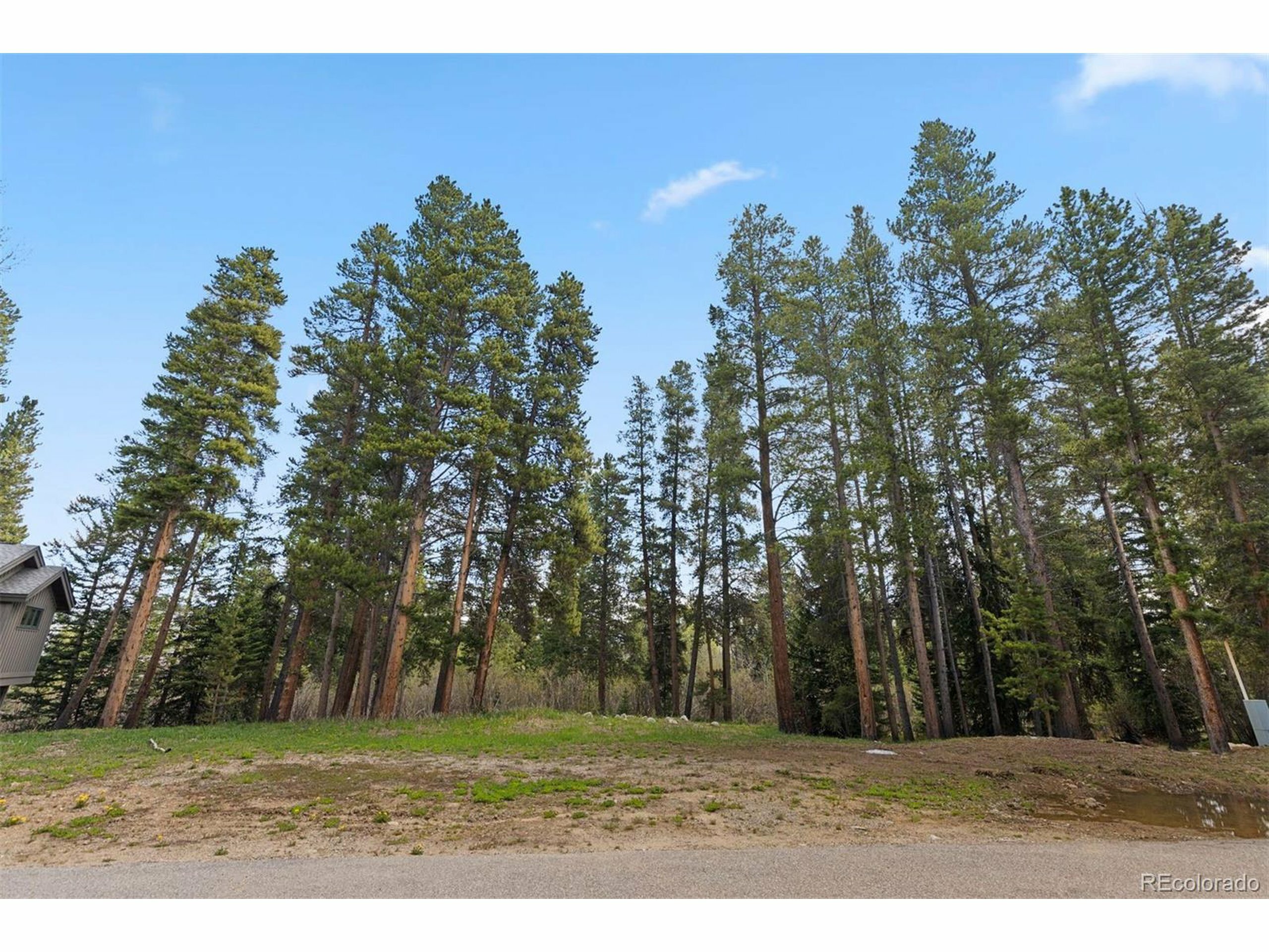 Property Photo:  28 Tall Pines Dr  CO 80424 