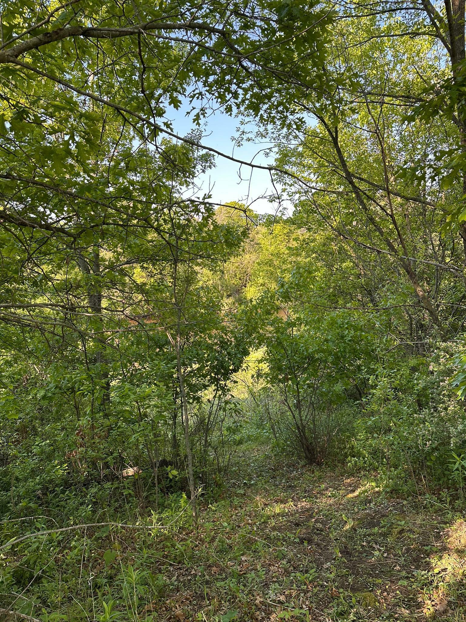 Property Photo: 997 152nd (Lot 69) Avenue WI 54017