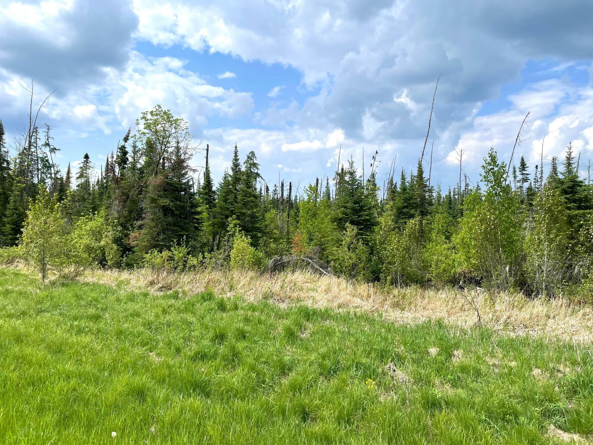Property Photo: Tbd N Plantangenet Road SE MN 56601