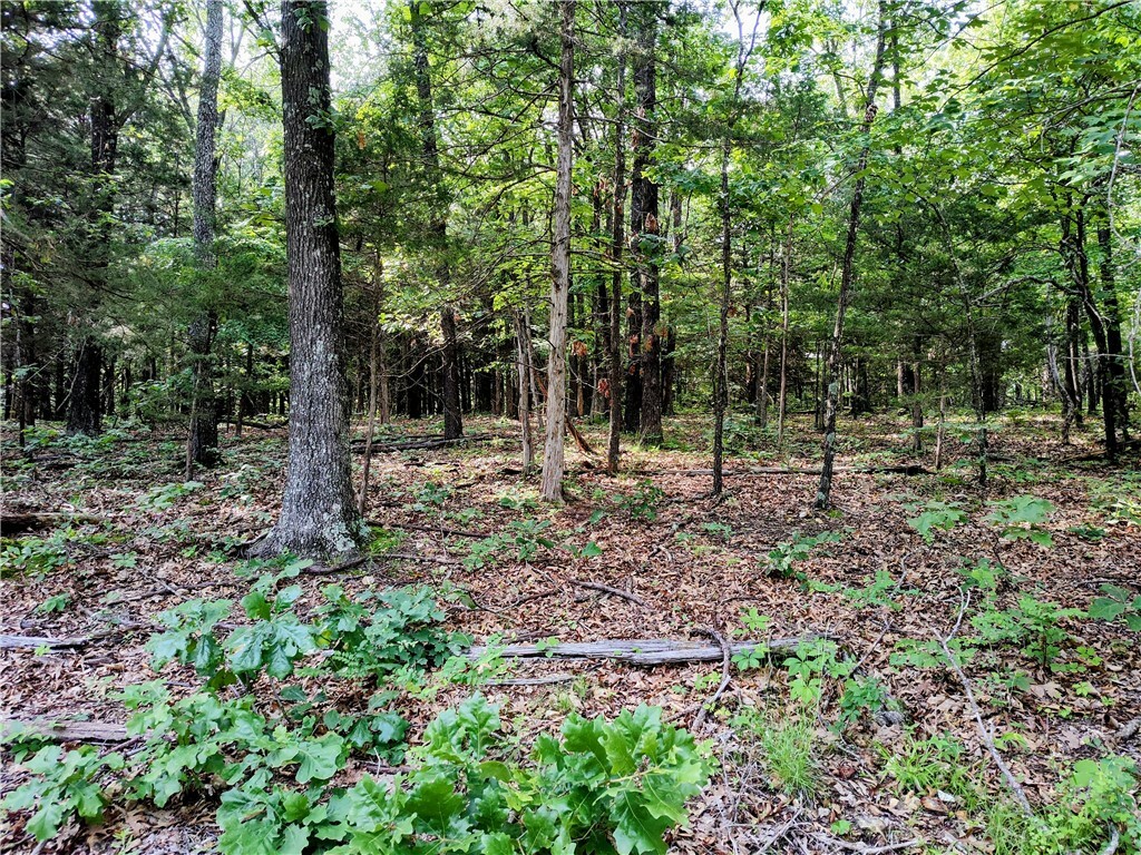 Taylor Barnett Road  Garfield AR 72732 photo