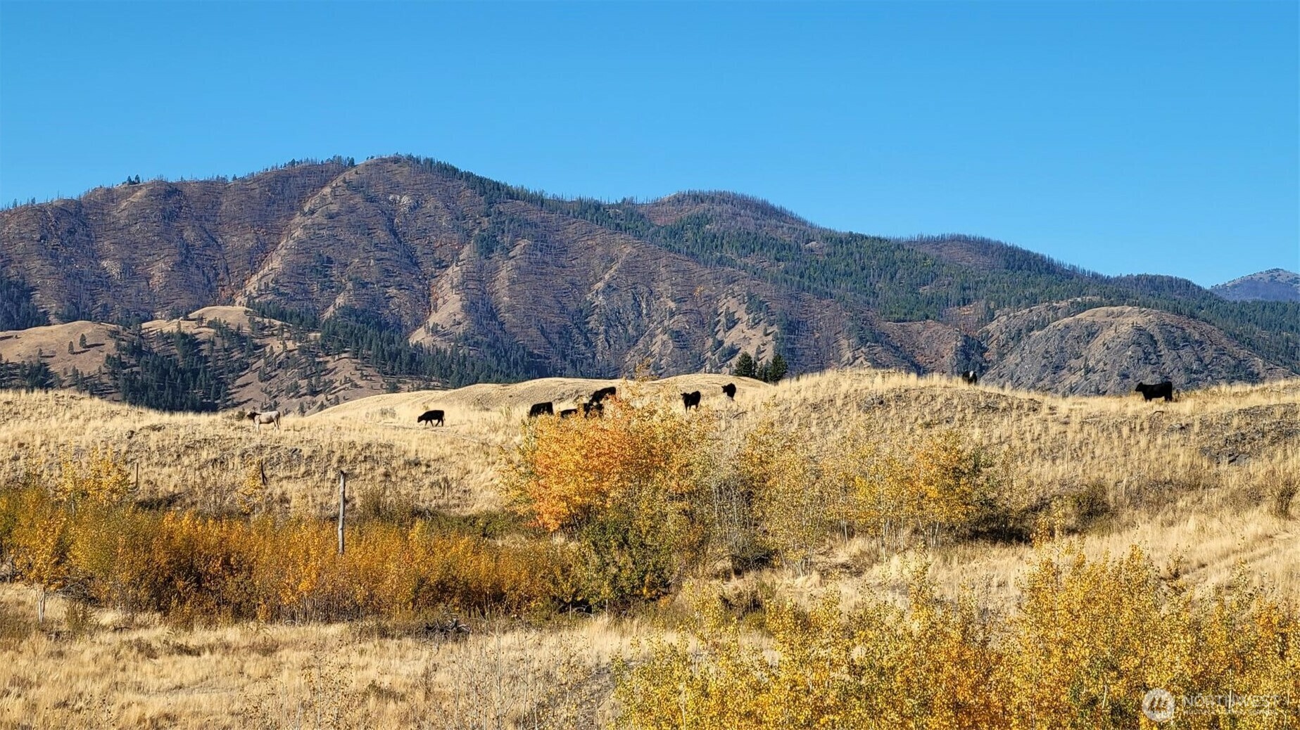 Property Photo: 0 Harrier Lane WA 98855