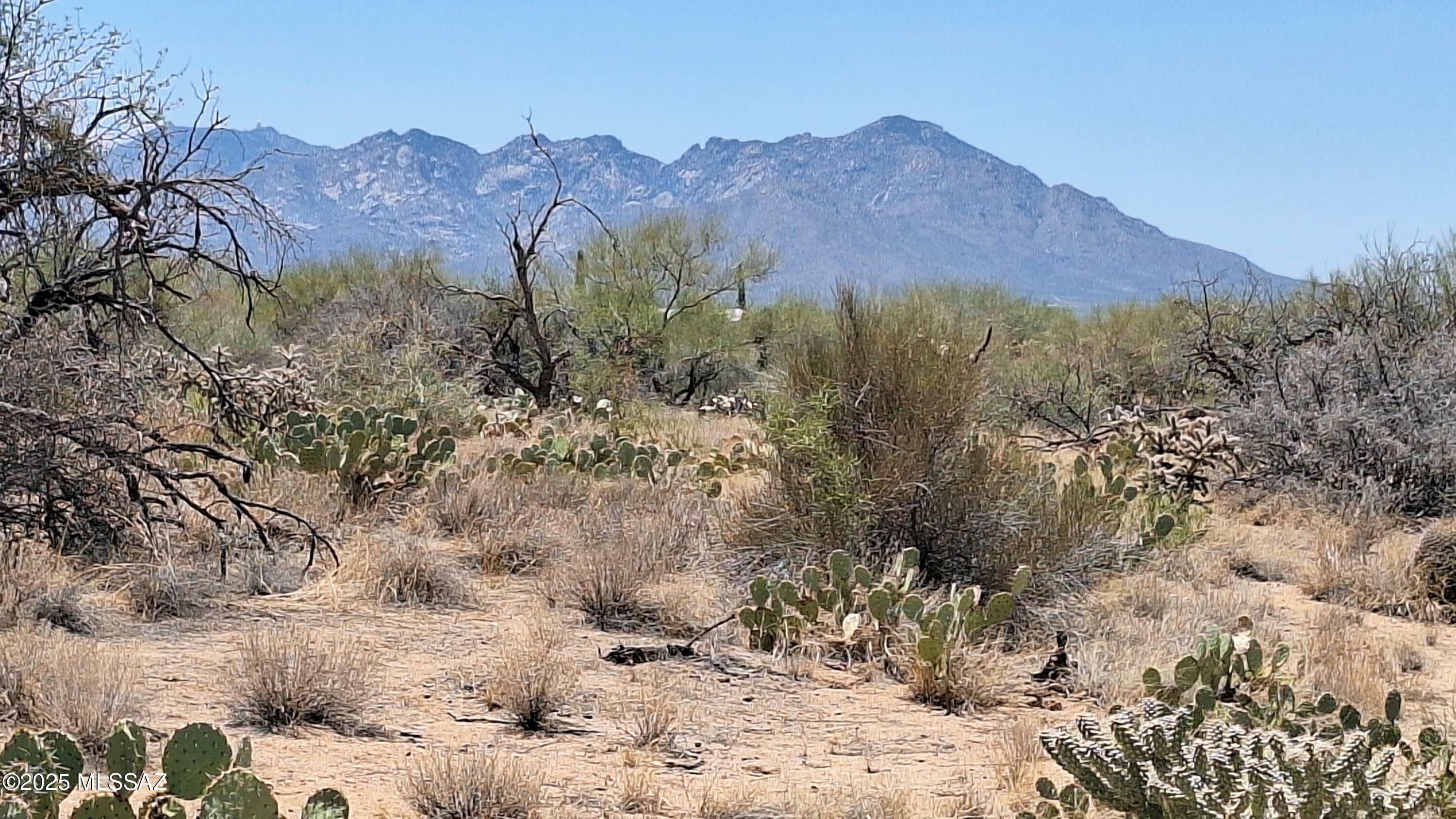 Property Photo: 14465 S Ezra Place 358 AZ 85736