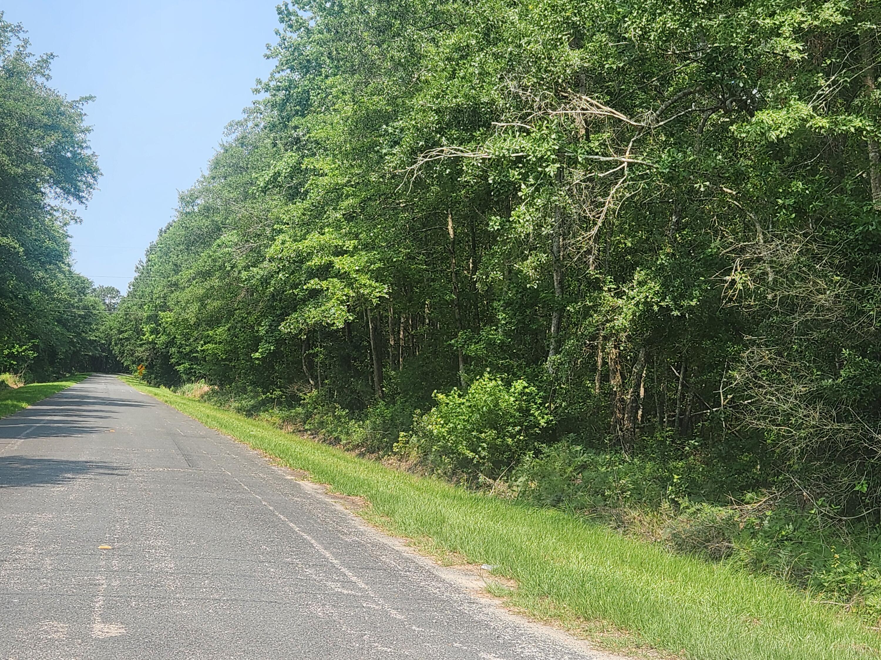Property Photo:  0 Marsh Rd Interior Parcel Road  SC 29929 