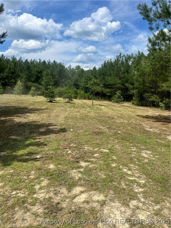 Lee Road  Gibson NC 28343 photo