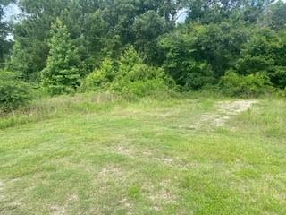 Property Photo: 80 Paris Circle TX 77364