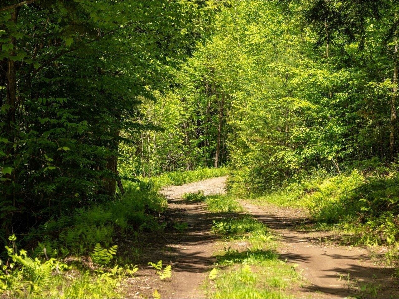 Property Photo: 0 Pond View Circle VT 05602