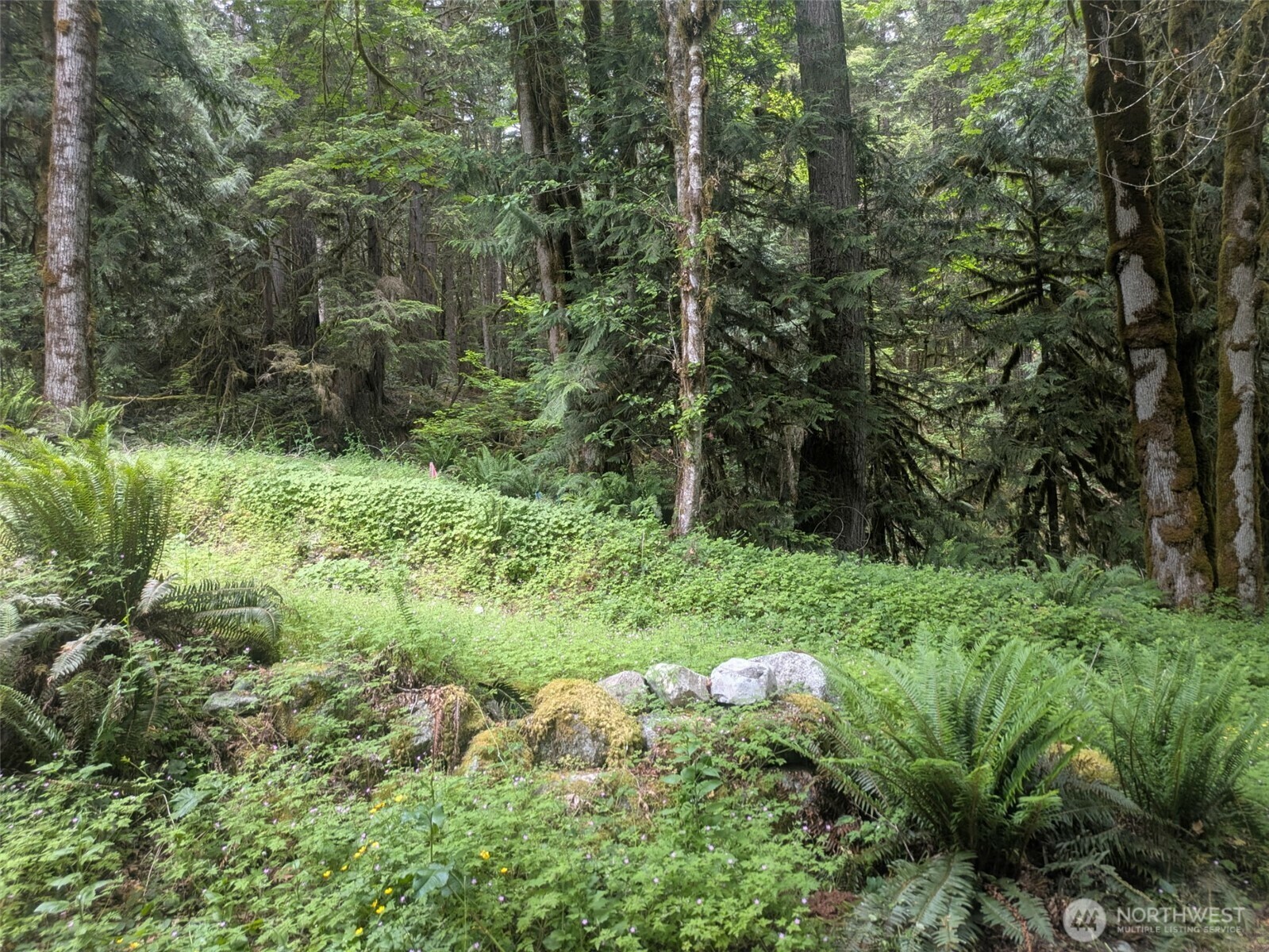 Property Photo: 64315 Lookout Mountain Loop 1D170 WA 98267