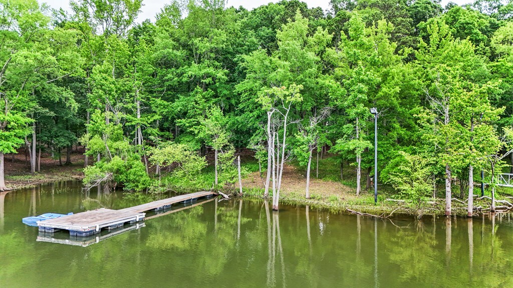 Property Photo:  390 Oak Run  VA 23927 