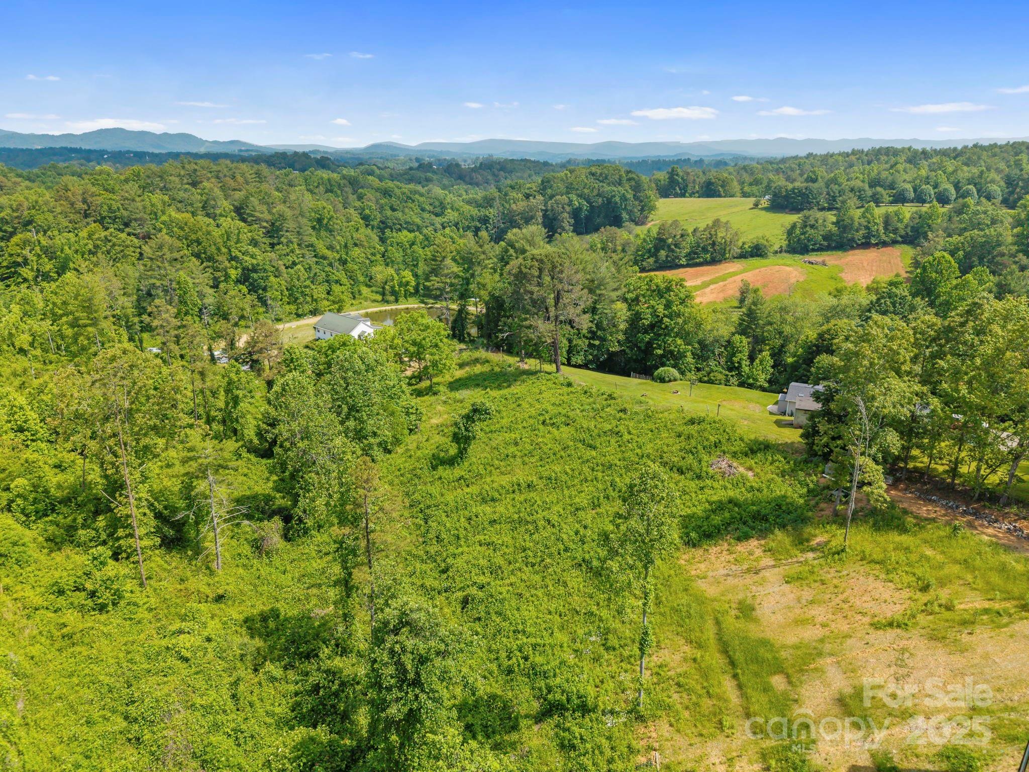 Property Photo: 24 Giovannas Way NC 28748
