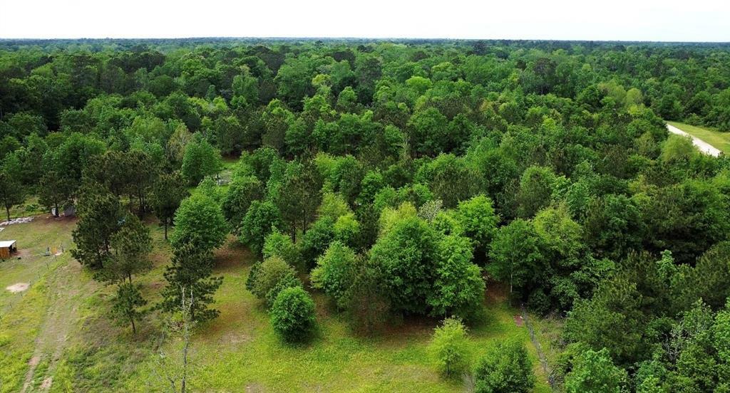 Property Photo: 20587 Tortuga Cir TX 77327