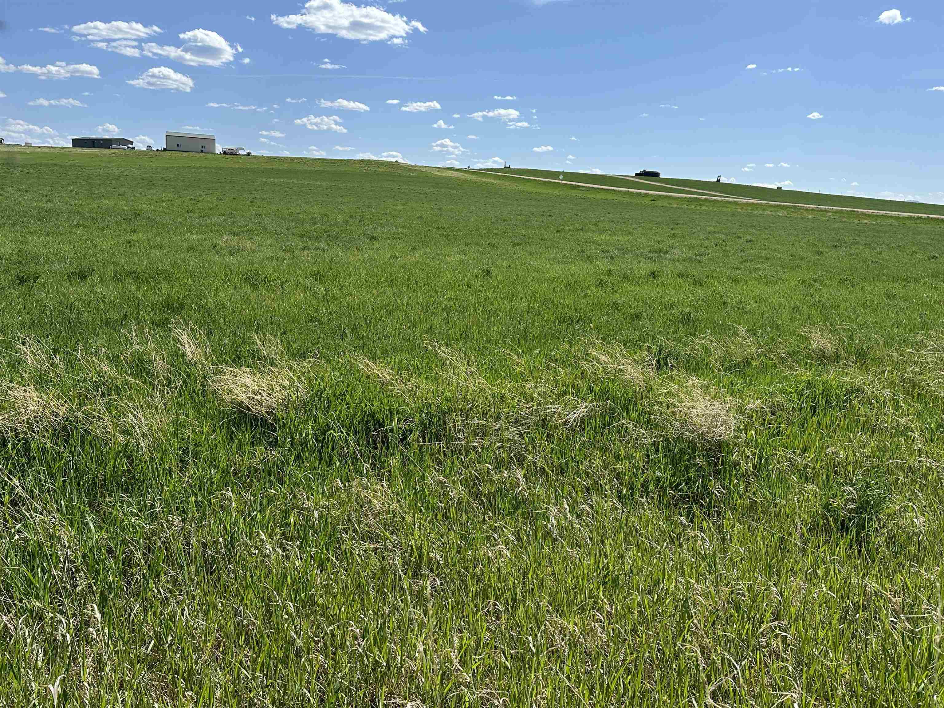 Property Photo: Tbd Bighorn Road SD 57793