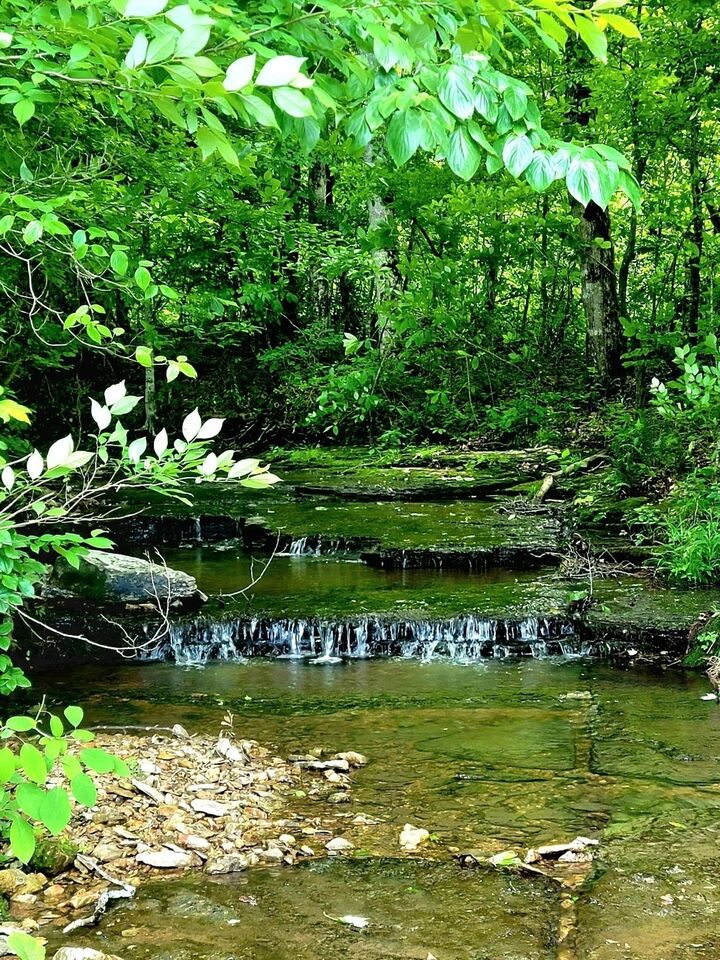 811 Borum Rd  Ashland City TN 37015 photo