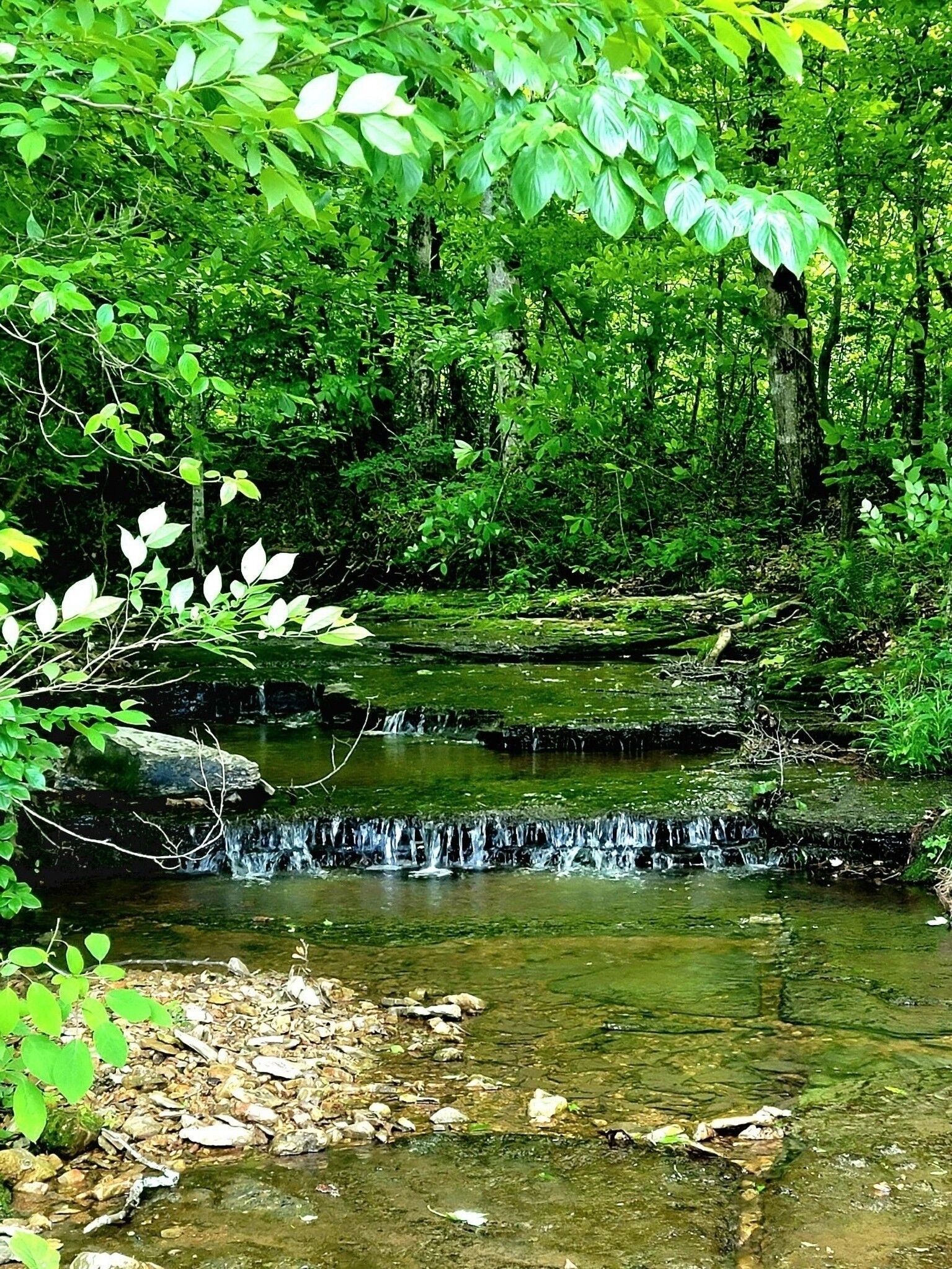 Property Photo: 811 Borum Rd TN 37015