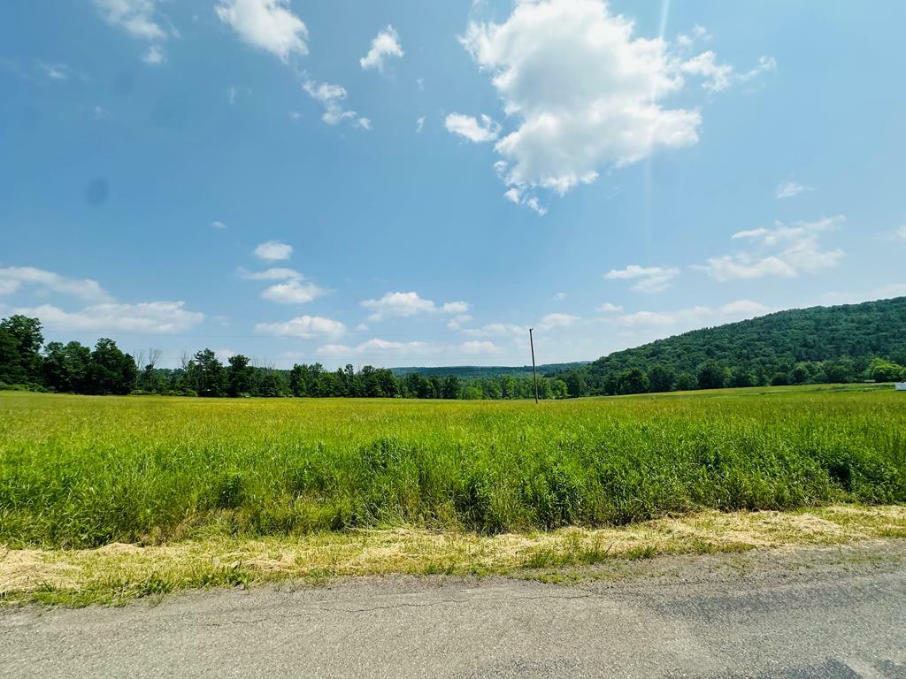 0 Moore Hill Rd  Nichols NY 13812 photo