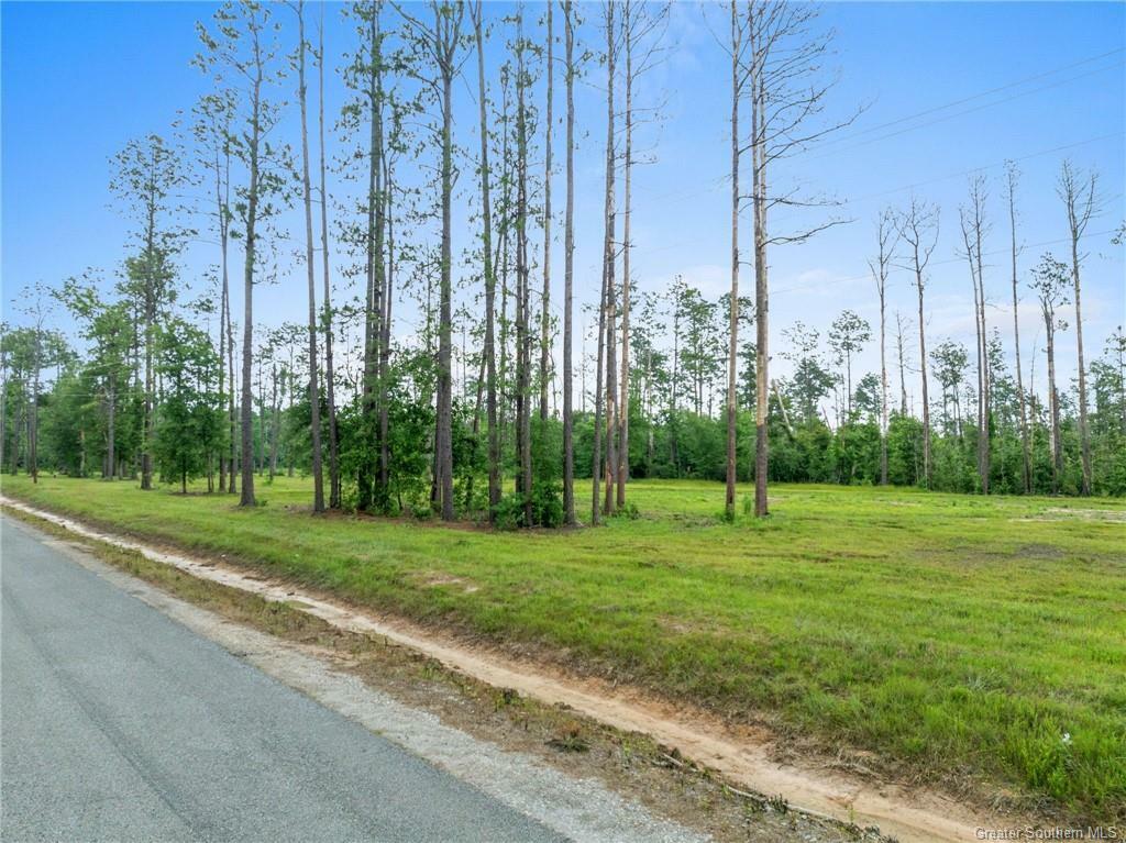 Property Photo: Duke Hollingworth Rd Tract 5 LA 70657