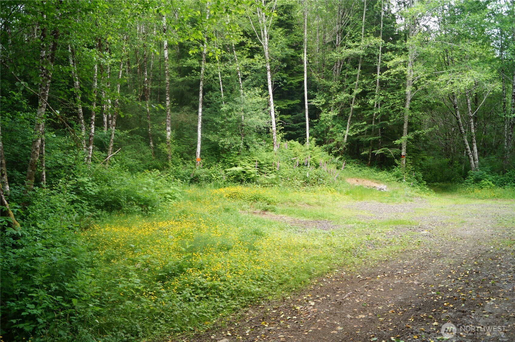Property Photo: 0 Off Of Panhandle Road WA 98550