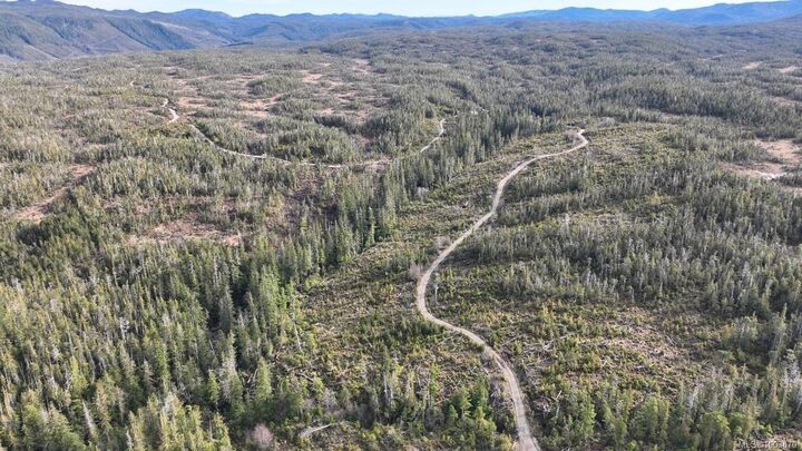 9 Cape Sutil Holberg (Off) Hwy — photo 1